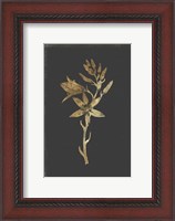 Framed Botanical Gold on Black I