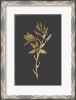 Framed Botanical Gold on Black I
