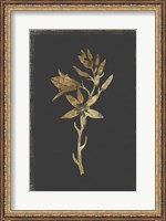 Framed Botanical Gold on Black I