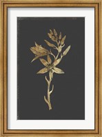 Framed Botanical Gold on Black I