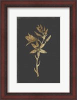 Framed Botanical Gold on Black I