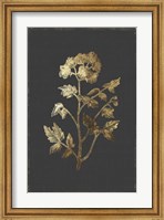 Framed Botanical Gold on Black II