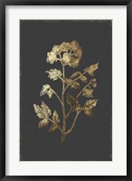 Framed Botanical Gold on Black II