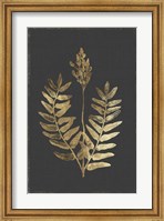 Framed Botanical Gold on Black III