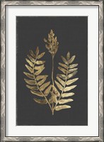 Framed Botanical Gold on Black III