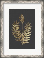 Framed Botanical Gold on Black III