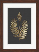 Framed Botanical Gold on Black III