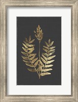 Framed Botanical Gold on Black III