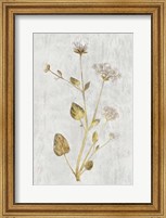 Framed Botanical Gold on White I