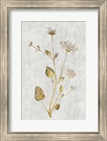 Framed Botanical Gold on White I