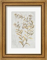 Framed Botanical Gold on White II