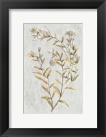 Framed Botanical Gold on White II