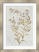 Framed Botanical Gold on White II