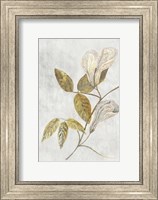 Framed Botanical Gold on White III