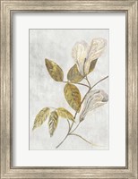 Framed Botanical Gold on White III