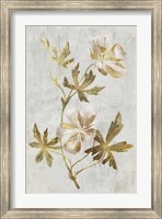 Framed Botanical Gold on White IV
