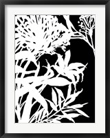 Framed Monochrome Foliage III