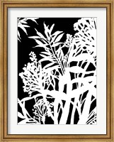 Framed Monochrome Foliage IV