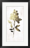 Framed Gold Botanical I