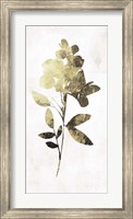 Framed Gold Botanical I