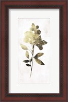 Framed Gold Botanical I