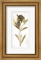 Framed Gold Botanical III