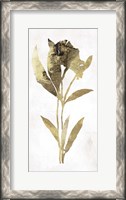 Framed Gold Botanical III