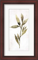 Framed Gold Botanical IV