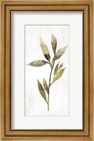 Framed Gold Botanical IV