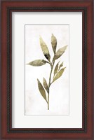 Framed Gold Botanical IV
