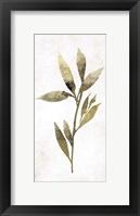 Gold Botanical IV Framed Print