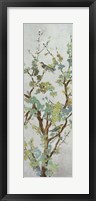 Sage Branch II Framed Print