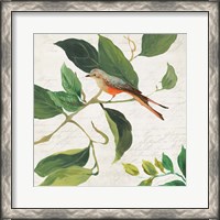 Framed Singing Bird I