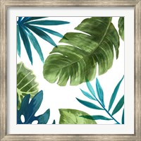 Framed Tropical Leaves II