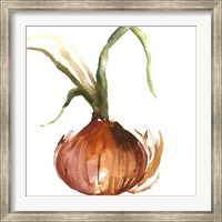 Framed Onion