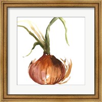 Framed Onion