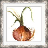 Framed 'Onion' border=