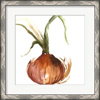Framed 'Onion' border=