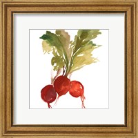 Framed 'Radish' border=