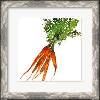 Framed Carrot
