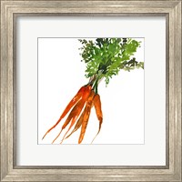 Framed 'Carrot' border=