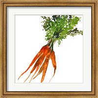Framed Carrot