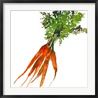 Framed Carrot