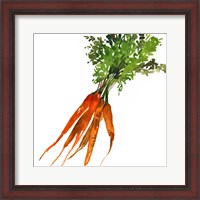 Framed Carrot