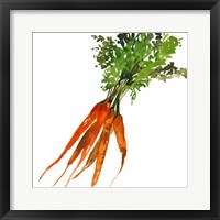 Framed 'Carrot' border=
