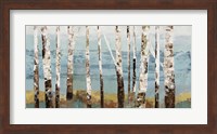 Framed Birch Reflection