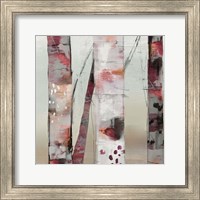 Framed 'Sunset Birch III' border=