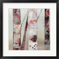 Sunset Birch III Framed Print