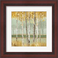 Framed Golden Birch