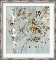 Framed Birch with Leaves I